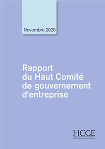 Rapport 2020